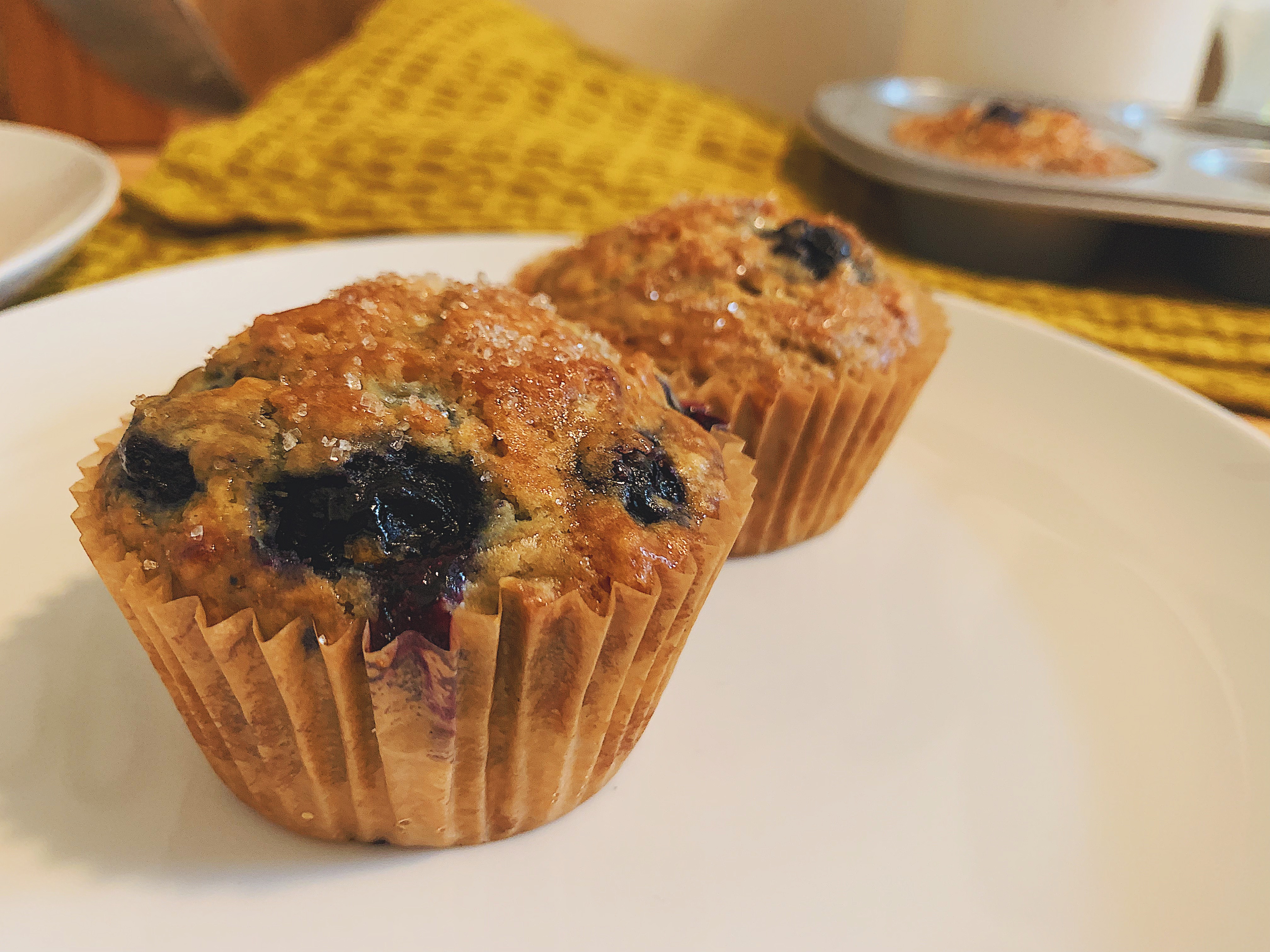 Vegan Blueberry Vanilla Muffins